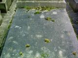 image of grave number 375381